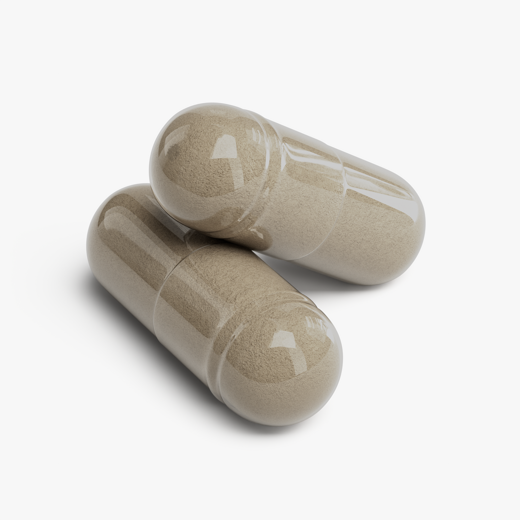 Gotu Kola & Bacopa Clarity Complex BLACKFOX HERBAL WELLNESS   blackfoxherbalwellness.com