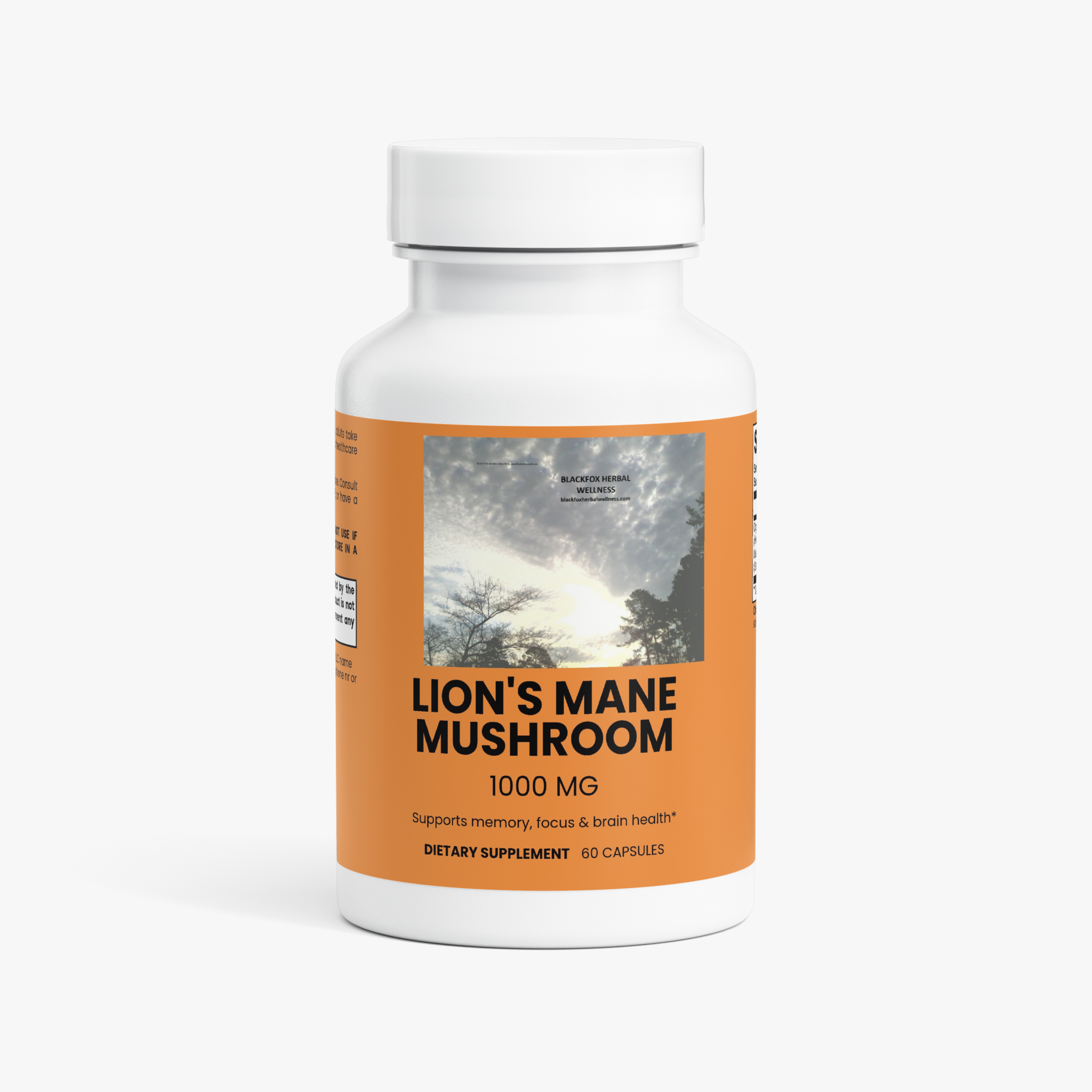 Lion's Mane Mushroom