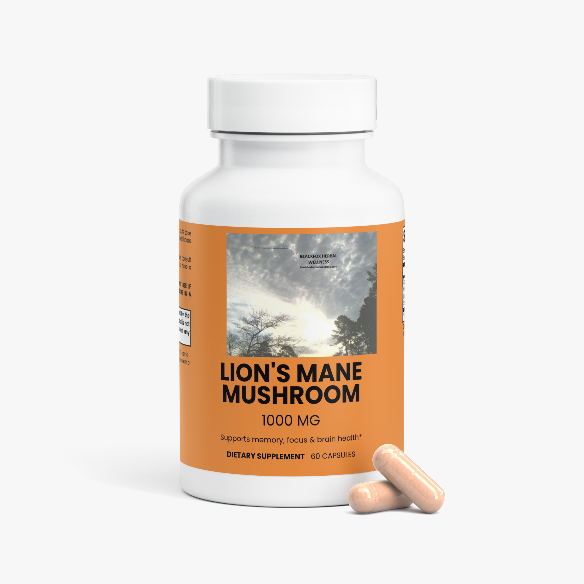 Lion's Mane Mushroom